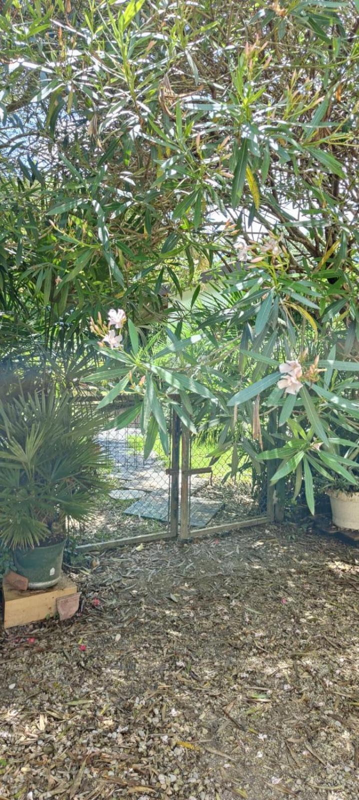 Villaluigia - Oasi Le Palme ปาโดวา ภายนอก รูปภาพ