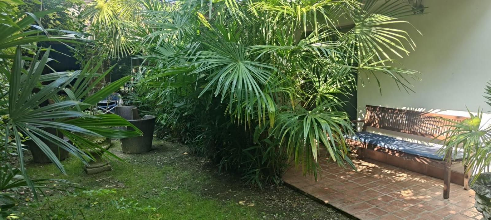 Villaluigia - Oasi Le Palme ปาโดวา ภายนอก รูปภาพ
