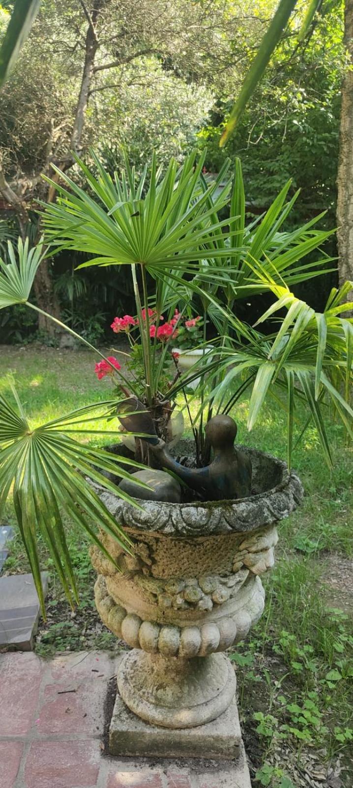 Villaluigia - Oasi Le Palme ปาโดวา ภายนอก รูปภาพ